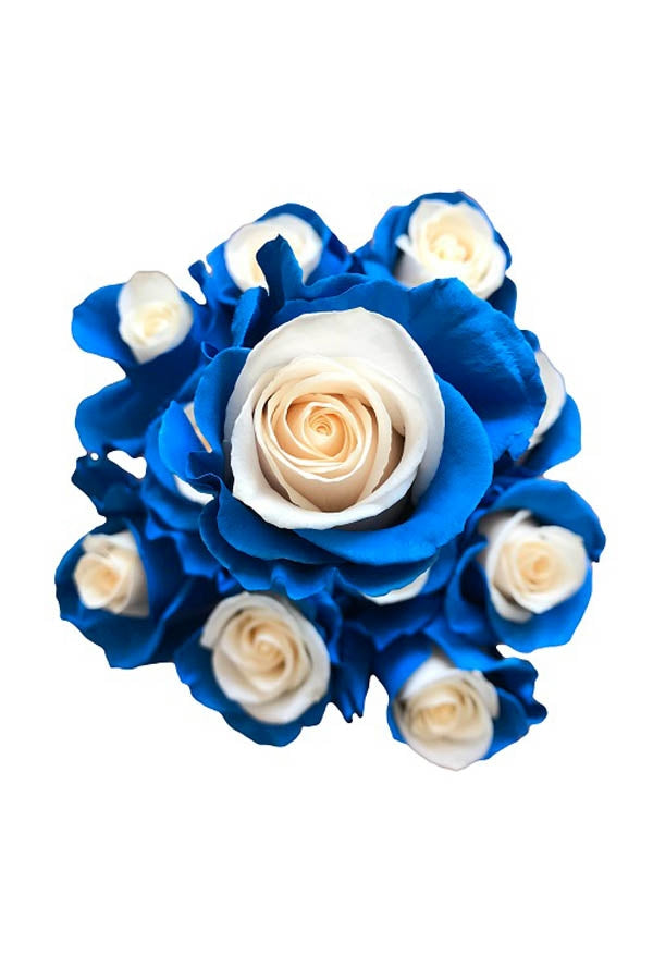 Blue roses for sale - Buy cheap blue roses - Flower Explosion