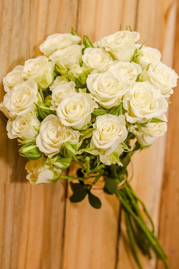 White Spray Roses