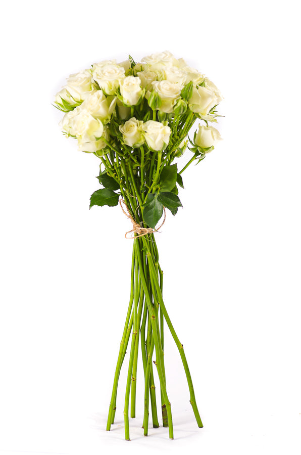 White Spray Rose Bouquet