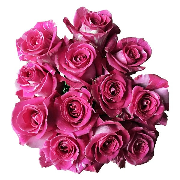 Wild Topaz Rose - Unique Blooms | Flower Explosion Online