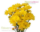 Yellow Cushion Poms